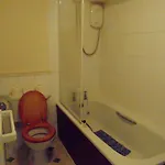 The White Swan Guest house 3*