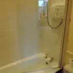 The White Swan