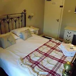The White Swan Guest house 3*