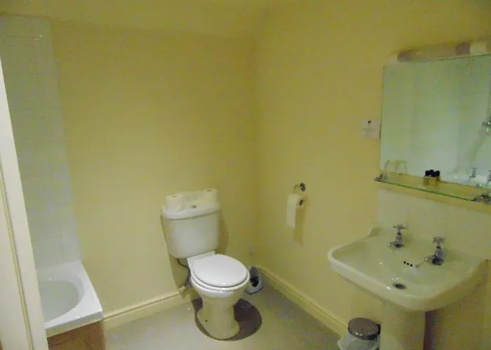 Affittacamere The White Swan 3*