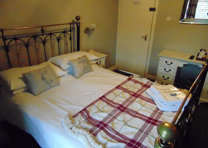 The White Swan Affittacamere 3*